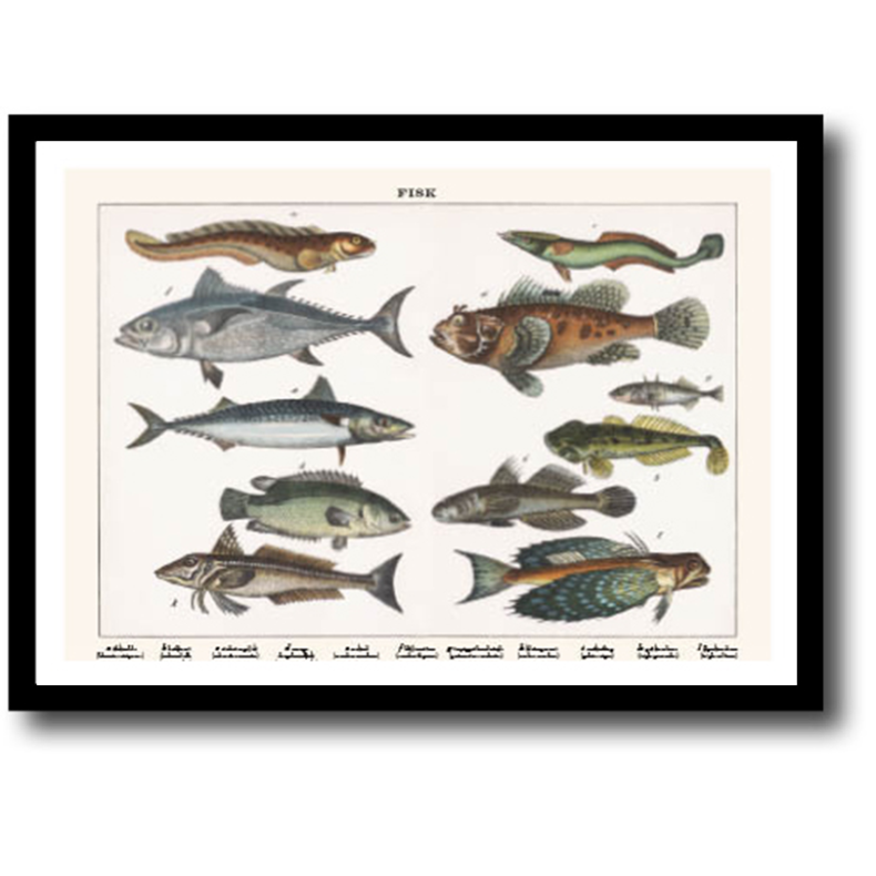 Natur plakat 30x40cm i ramme