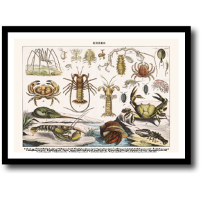 Natur plakat 30x40cm i ramme