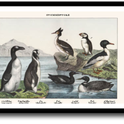 Natur plakat 30x40cm i ramme