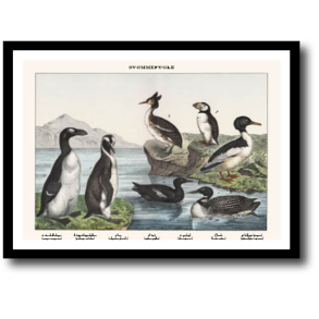 Natur plakat 30x40cm i ramme