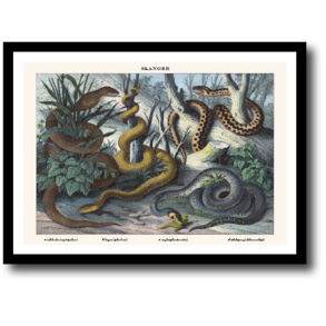 Natur plakat 30x40cm i ramme