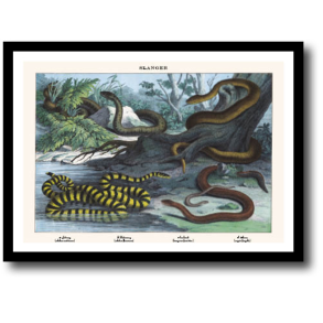 Natur plakat 30x40cm i ramme