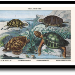 Natur plakat 30x40cm i ramme