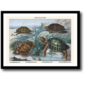 Natur plakat 30x40cm i ramme