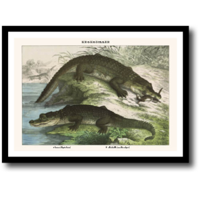 Natur plakat 30x40cm i ramme