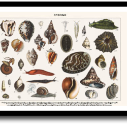 Natur plakat 30x40cm i ramme