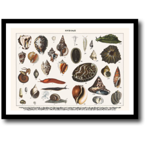 Natur plakat 30x40cm i ramme