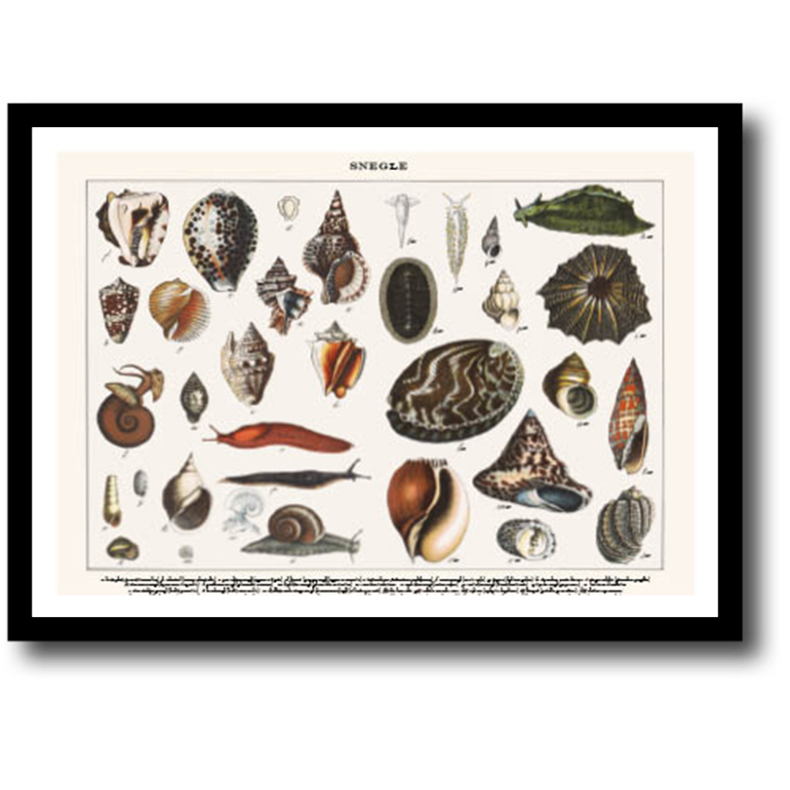 Natur plakat 30x40cm i ramme