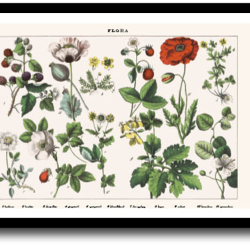 Natur plakat 30x40cm i ramme