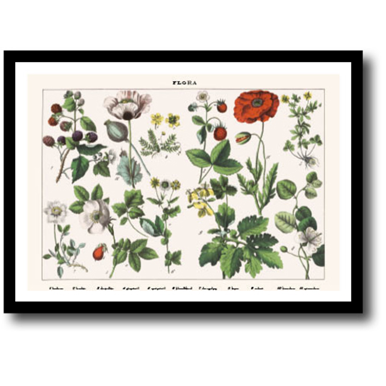 Natur plakat 30x40cm i ramme