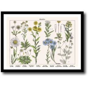 Natur plakat 30x40cm i ramme