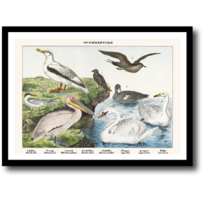 Natur plakat 30x40cm i ramme