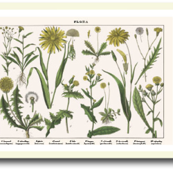 Natur plakat 30x40cm i ramme