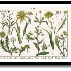 Natur plakat 30x40cm i ramme