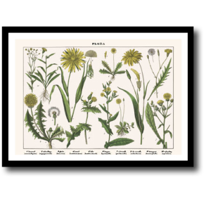 Natur plakat 30x40cm i ramme