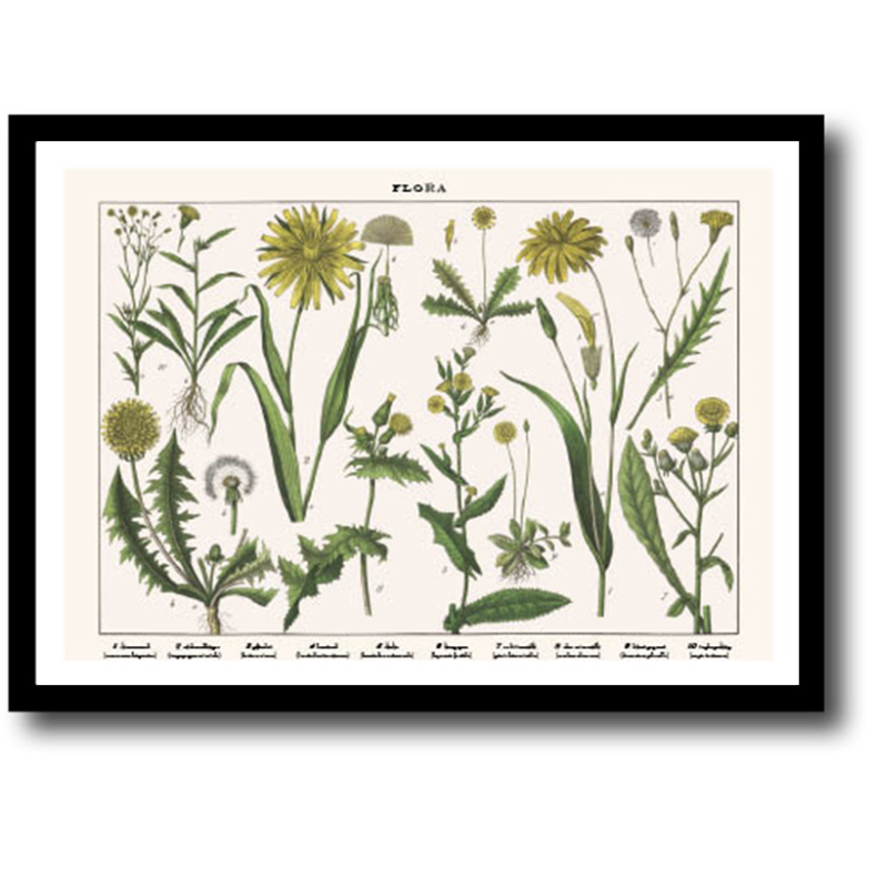 Natur plakat 30x40cm i ramme