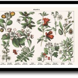 Natur plakat 30x40cm i ramme