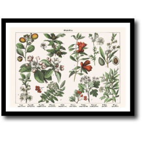 Natur plakat 30x40cm i ramme