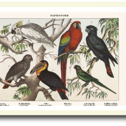 Natur plakat 30x40cm i ramme