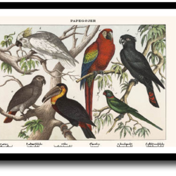 Natur plakat 30x40cm i ramme