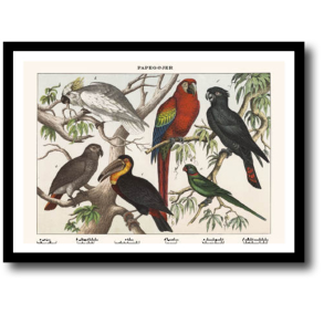 Natur plakat 30x40cm i ramme