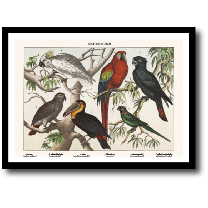 Natur plakat 30x40cm i ramme