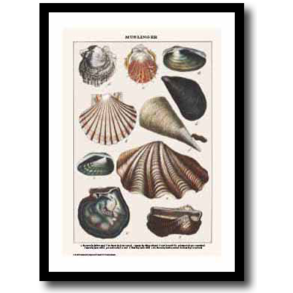 Natur plakat 30x40cm i ramme