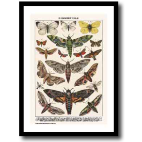 Natur plakat 30x40cm i ramme