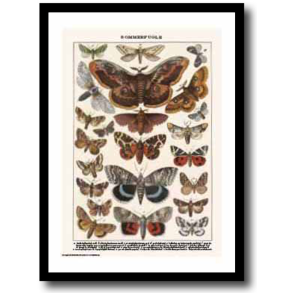 Natur plakat 30x40cm i ramme