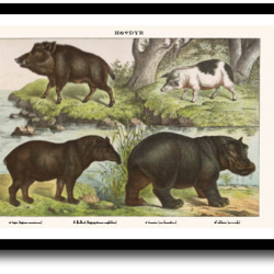 Natur plakat 30x40cm i ramme