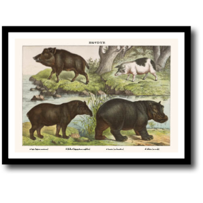 Natur plakat 30x40cm i ramme