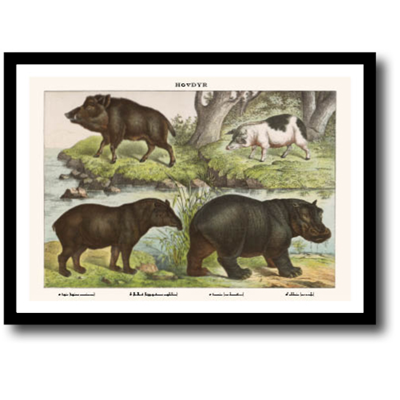 Natur plakat 30x40cm i ramme
