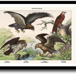 Natur plakat 30x40cm i ramme