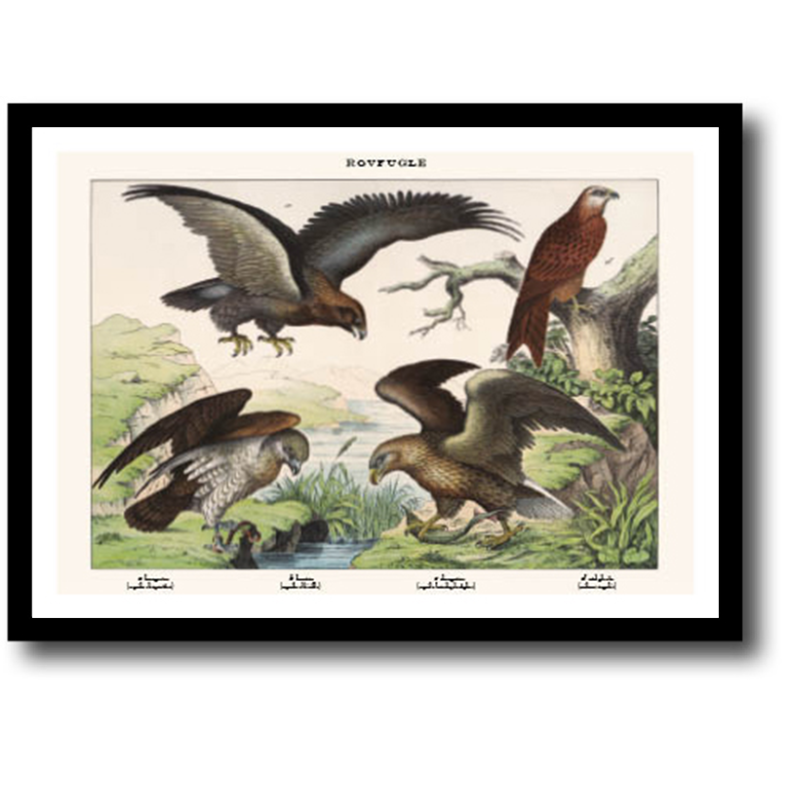 Natur plakat 30x40cm i ramme