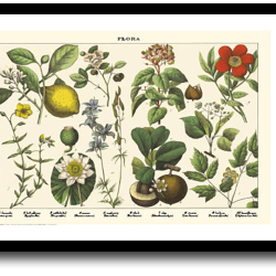 Natur plakat 30x40cm i ramme