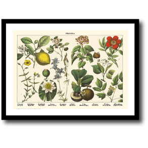 Natur plakat 30x40cm i ramme