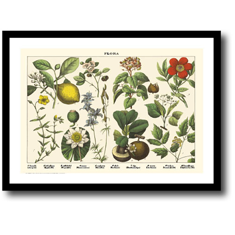 Natur plakat 30x40cm i ramme