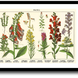 Natur plakat 30x40cm i ramme