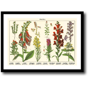 Natur plakat 30x40cm i ramme