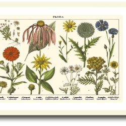 Natur plakat 30x40cm i ramme