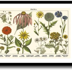 Natur plakat 30x40cm i ramme