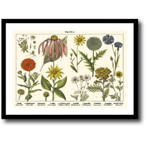 Natur plakat 30x40cm i ramme