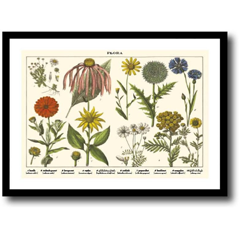 Natur plakat 30x40cm i ramme
