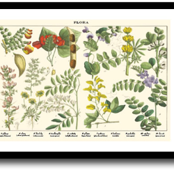 Natur plakat 30x40cm i ramme