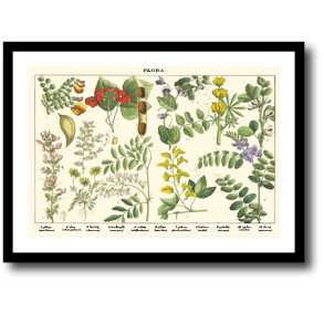 Natur plakat 30x40cm i ramme