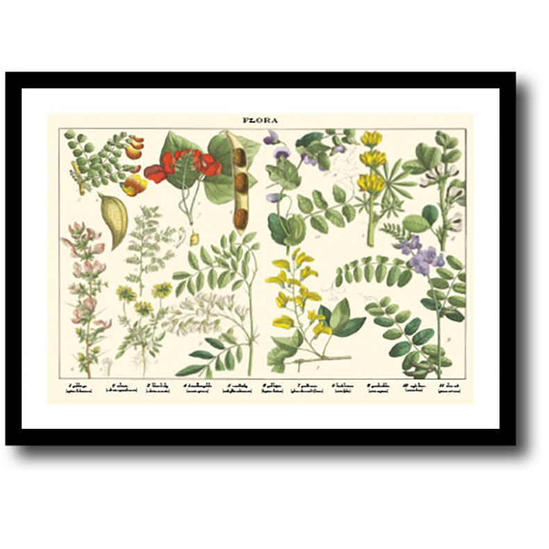Natur plakat 30x40cm i ramme