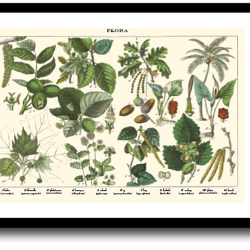 Natur plakat 30x40cm i ramme