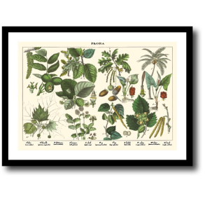 Natur plakat 30x40cm i ramme