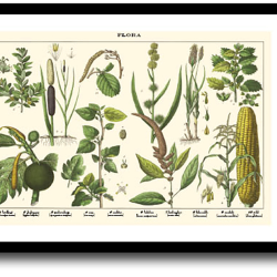 Natur plakat 30x40cm i ramme