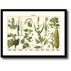 Natur plakat 30x40cm i ramme